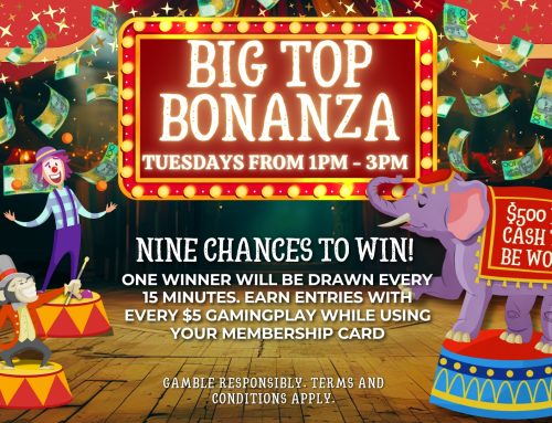 Big Top Bonanza